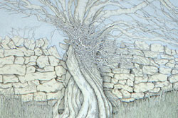 Twisted Tree. Lastingham by Carolyn Smith
