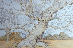 Ancient Tree, Hinton Ampner by Carolyn Smith