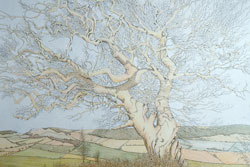Tree and White Horse. Coxwold by Carolyn Smith